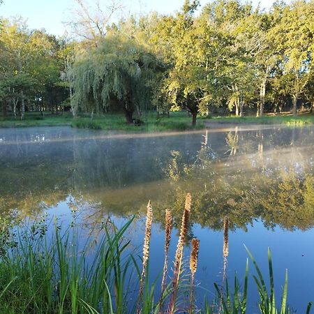 Le Ranch Amadeus Bed & Breakfast Saint-Paul-en-Born Екстериор снимка