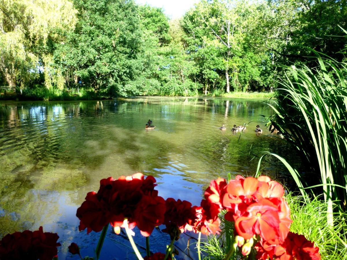 Le Ranch Amadeus Bed & Breakfast Saint-Paul-en-Born Екстериор снимка
