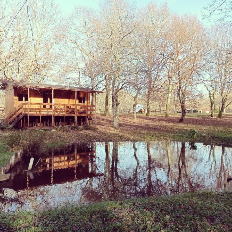 Le Ranch Amadeus Bed & Breakfast Saint-Paul-en-Born Екстериор снимка