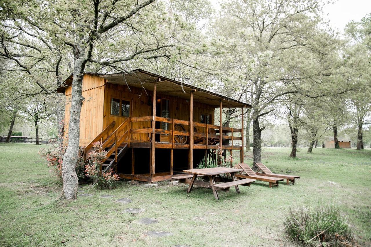 Le Ranch Amadeus Bed & Breakfast Saint-Paul-en-Born Екстериор снимка