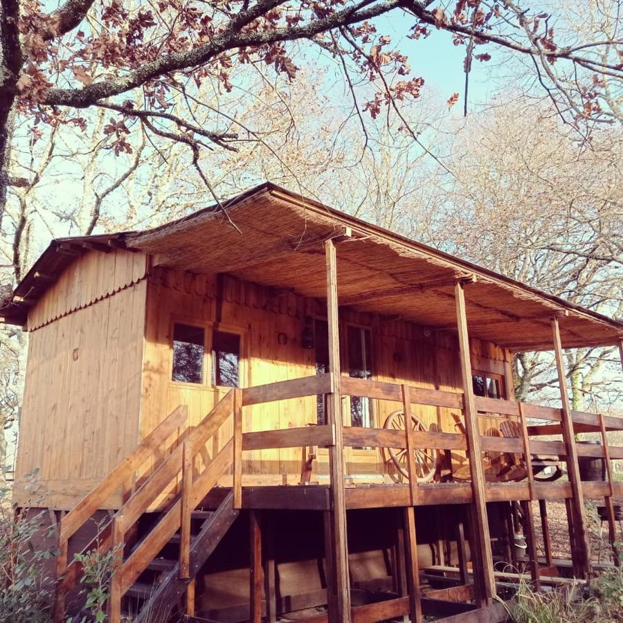 Le Ranch Amadeus Bed & Breakfast Saint-Paul-en-Born Екстериор снимка