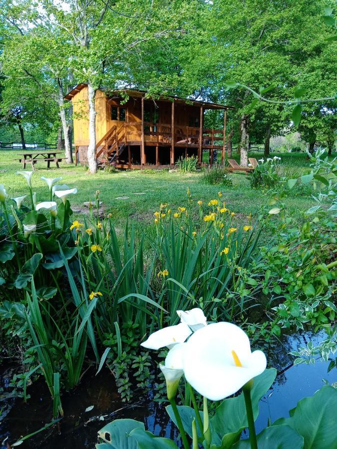 Le Ranch Amadeus Bed & Breakfast Saint-Paul-en-Born Екстериор снимка