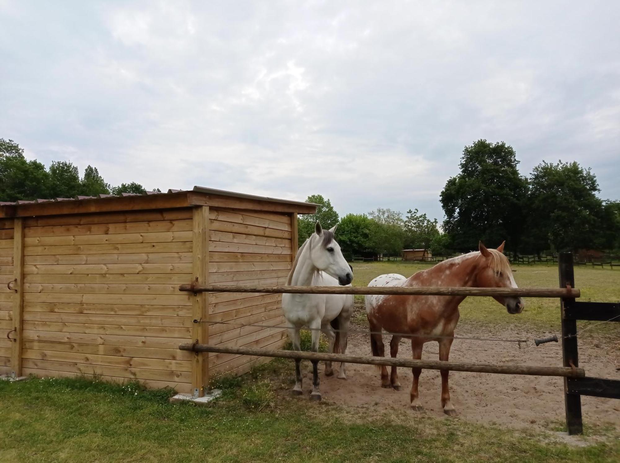 Le Ranch Amadeus Bed & Breakfast Saint-Paul-en-Born Екстериор снимка