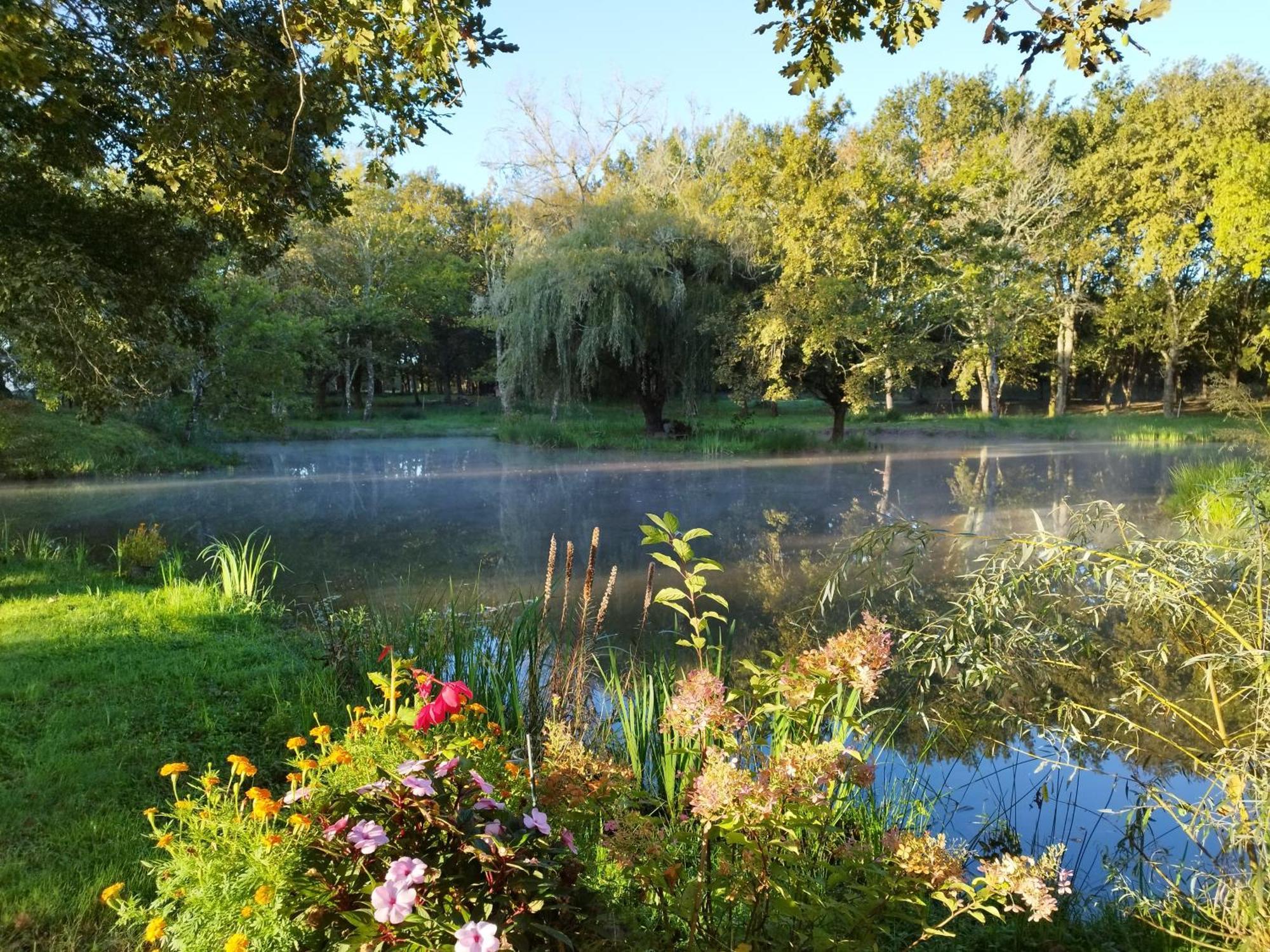 Le Ranch Amadeus Bed & Breakfast Saint-Paul-en-Born Екстериор снимка